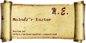 Molnár Eszter névjegykártya